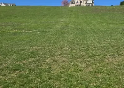 Local Landscaper