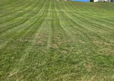 Local Landscaper